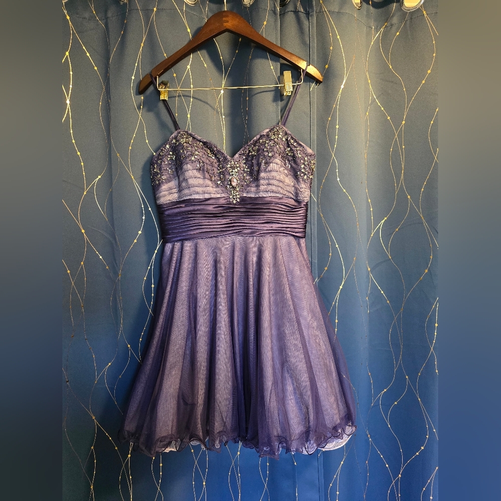 Adrianna Papell Collection Lavender Dress